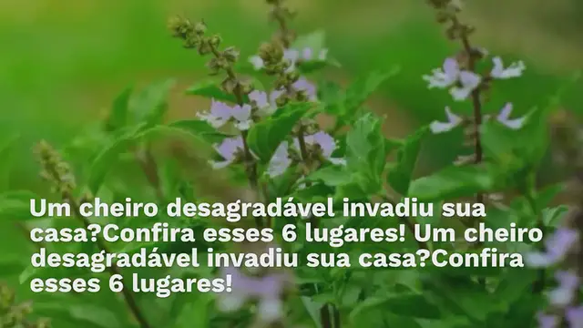 Video thumbnail for Um cheiro desagradável invadiu sua casa? Confira esses 6 lugares!