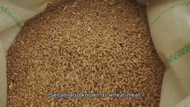 Video thumbnail for seitan recipe