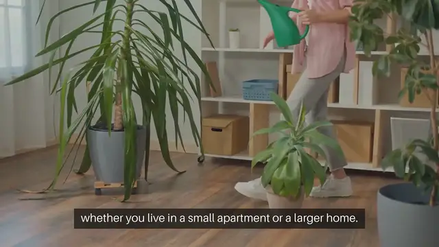 Video thumbnail for Indoor gardening window box unit gardening