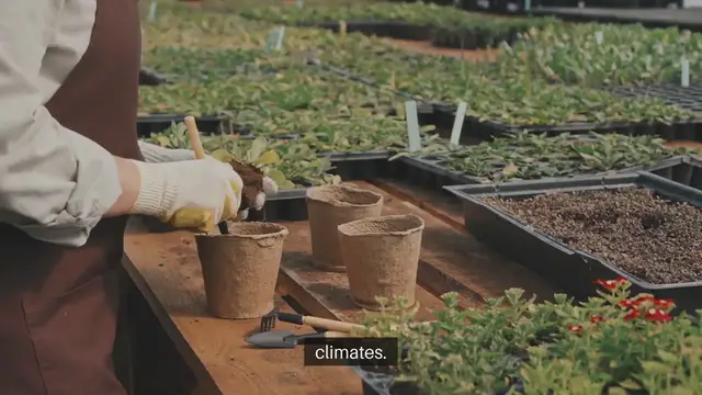 Video thumbnail for Best Seeds to Start Early in Spring