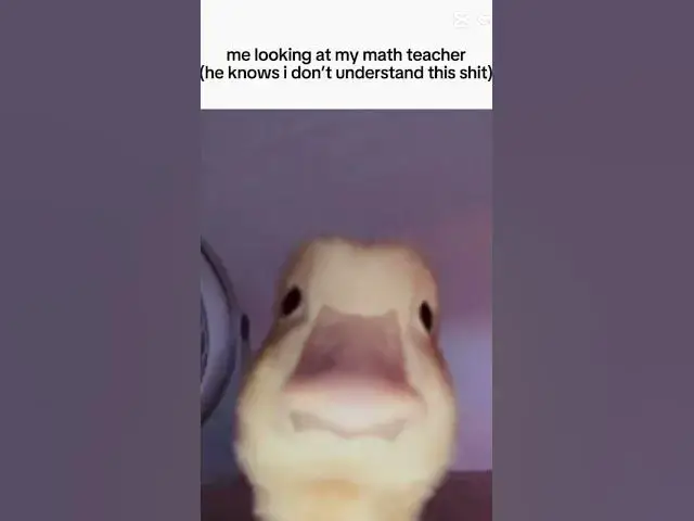 'Video thumbnail for I swear this came out of nowhere'