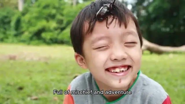 'Video thumbnail for The Adventures of Tom Sawyer'