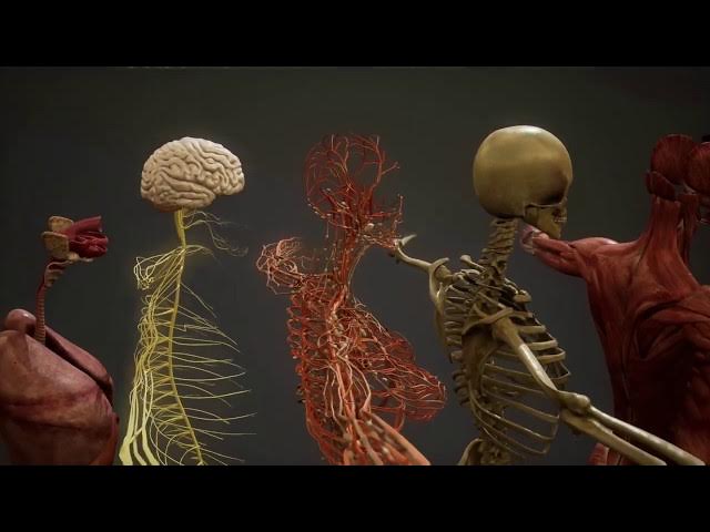 Video thumbnail for Vanity - Vignettes with Mystic, Marilynn Hughes, Out of Body Travel, Out of Body Experiences