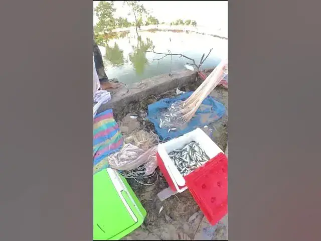 Video thumbnail for A lot fish ep 007  #fish #fishing #fishingvideo #catchfish