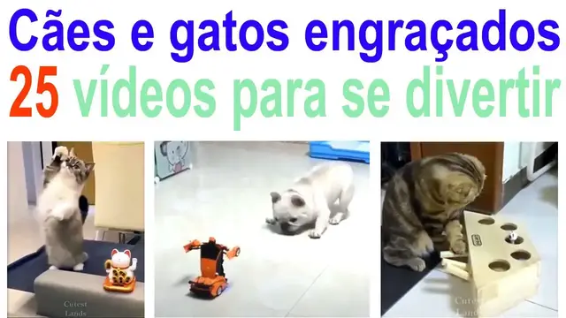 Video thumbnail for 25 vídeos curtos de cães e gatos engraçados