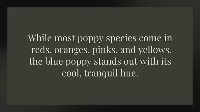 Video thumbnail for What is the color code for the blue poppy?