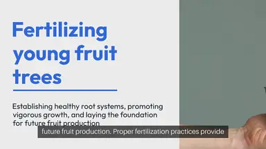'Video thumbnail for Fertilizing Young Fruit Trees'