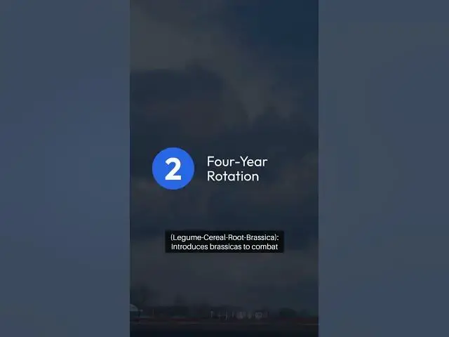 Video thumbnail for Crop Rotation Strategies #gardeningtips #greenthumb #beginnergardeners #bloomingbeauty