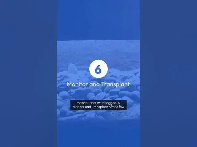 Video thumbnail for Lemon Tree Propagation Guide 2 #beginnergardeners