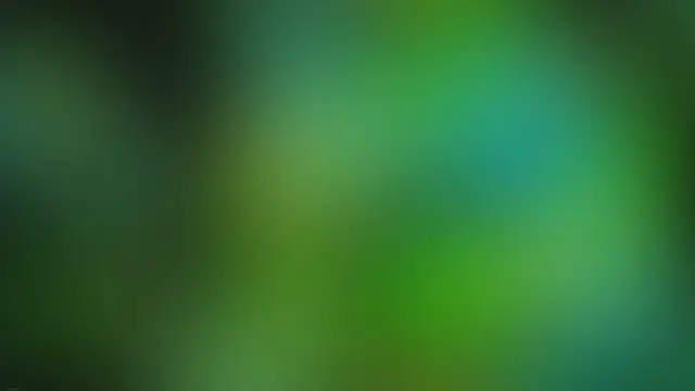 Video thumbnail for The Mooer GE100 Guitar Effects Pedal: In Review