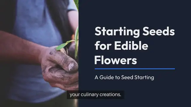 Video thumbnail for Seed Starting for Edible Flowers