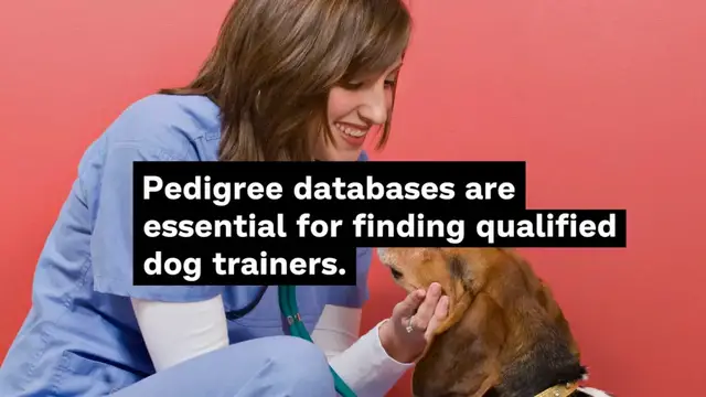 'Video thumbnail for Pedigree Database : Find a dog trainer'