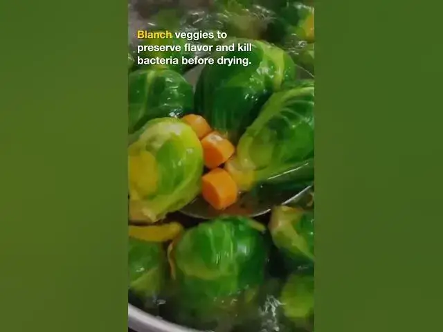 Video thumbnail for Top 5 Mistakes to Avoid When Dehydrating Foods