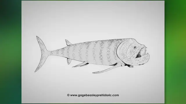'Video thumbnail for An Ultimate Guide to Xiphactinus: The Bulldog Tarpon'