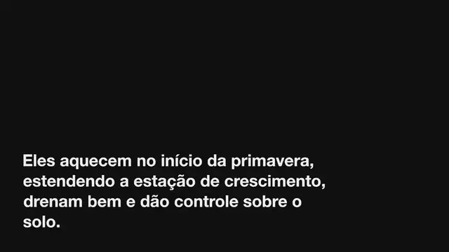 Video thumbnail for Os 10 melhores vegetais para crescer em canteiros elevados