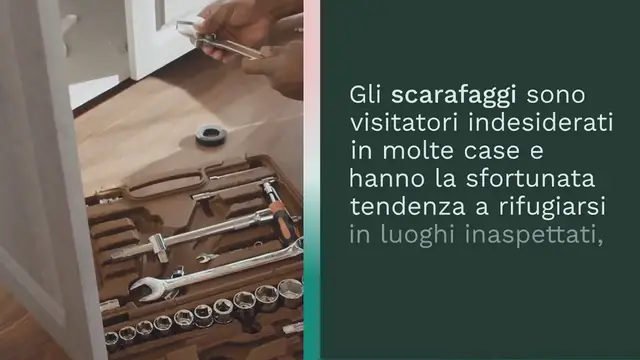 Video thumbnail for Come sbarazzarsi definitivamente degli scarafaggi: il modo più semplice per uccidere gli scarafaggi negli scarichi