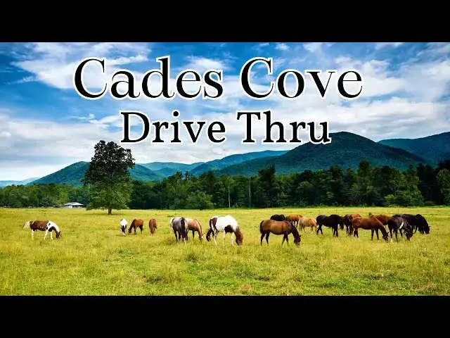 Video thumbnail for Ride With us Thru Cades Cove