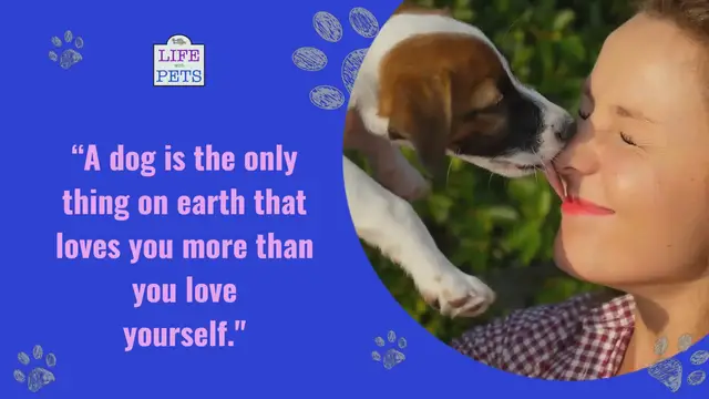 'Video thumbnail for For the Love of Dogs'