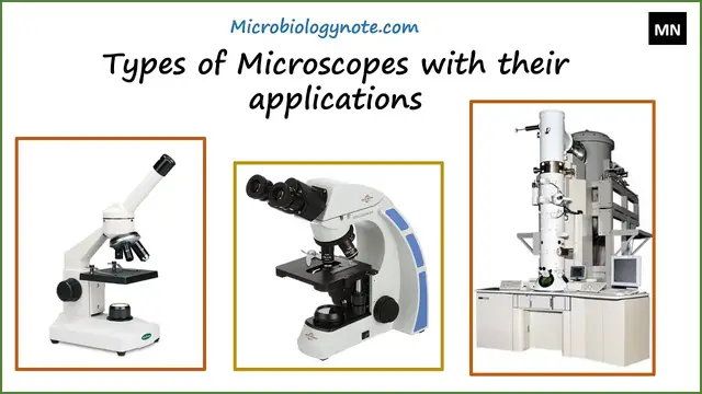 Video thumbnail for Types of Microscope and their Functions