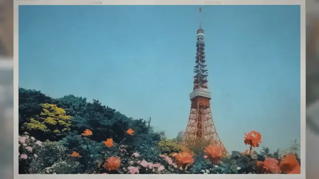 Video thumbnail for Tokyo- 도쿄의 유명 관광지 12선