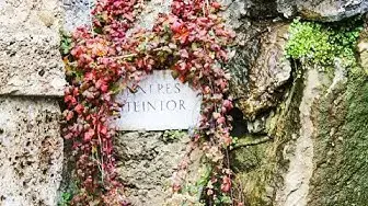 Video thumbnail for Stille Nacht, Heilige Nacht in Salzburg