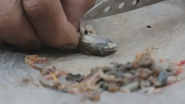 Video thumbnail for Palauan Fruit Bat Soup Recipe