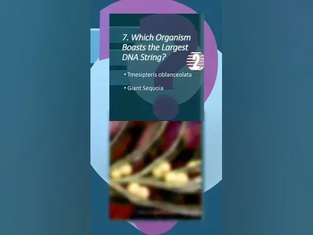 'Video thumbnail for What's the World's Largest Genome? | HowSmart.net Video Quiz |  #smarttrivia #triviatime'