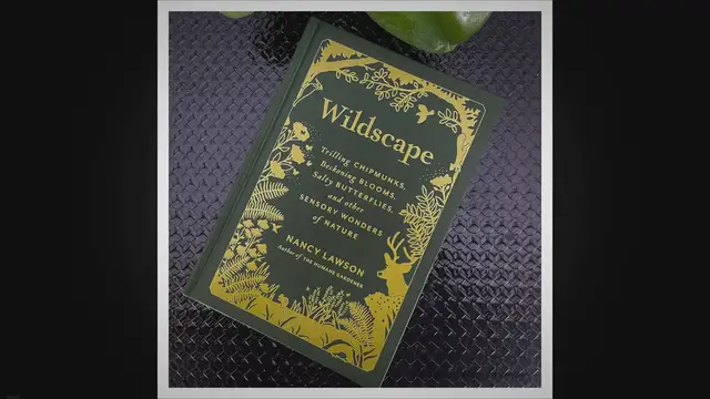 Video thumbnail for Wildscape: Exploring the senses to live in peace in our gardens