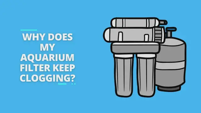 Video thumbnail for Why Does My Aquarium Filter Keep Clogging?