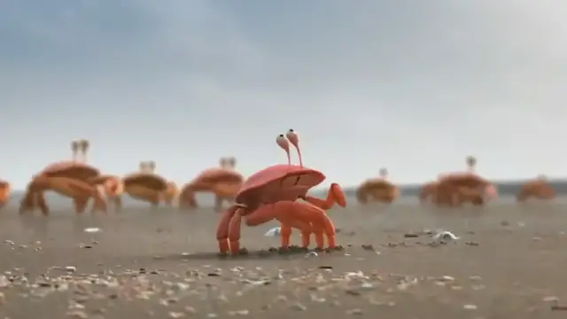 'Video thumbnail for Team Work - Shrimp Group'