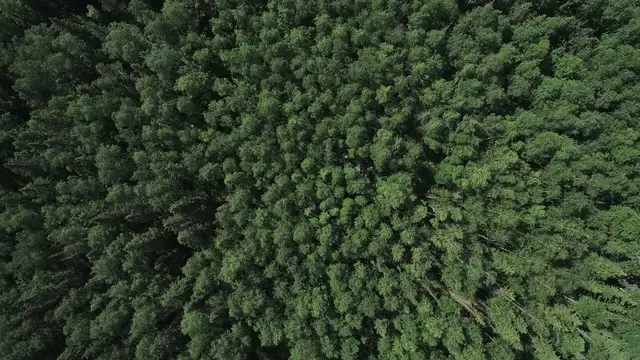 Video thumbnail for IT IS CLEAN - PICTURE LOCK 10-24.mov