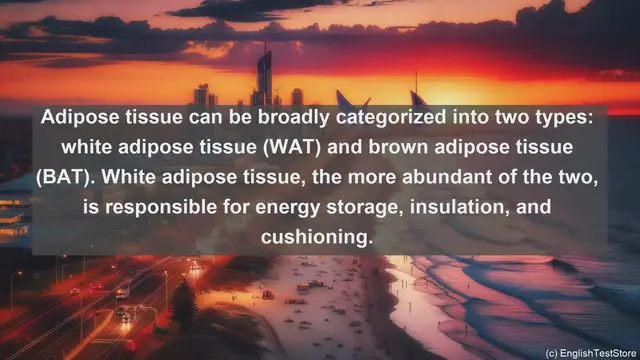 Video thumbnail for Adipose tissue in science  definition and examples