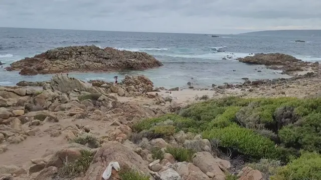 'Video thumbnail for Aquarium Yallingup 3'