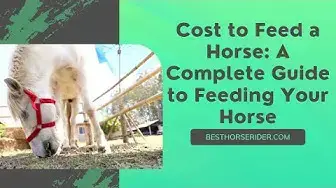 Video thumbnail for Cost to Feed a Horse: A Complete Guide to Feeding Your Horse
