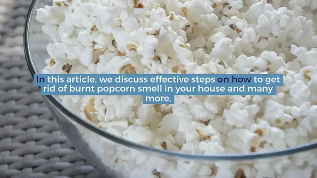 Video thumbnail for How To Get Rid Of Burnt Popcorn Smell in Your House