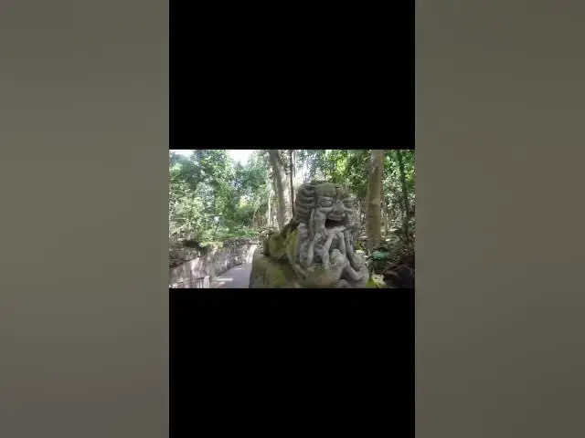 Video thumbnail for ☀️ Sunlight Through the Canopy — Jungle Walk in Sacred Monkey Forest