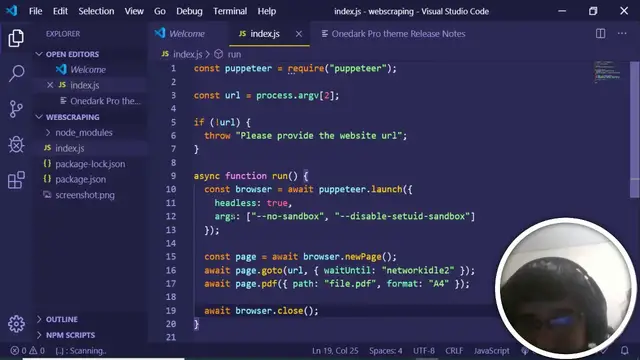Video thumbnail for Node.js Pupeteer Web Scraping | Taking PDF of any Website in Javascript