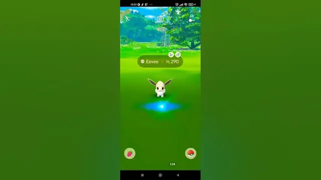 Video thumbnail for ✨ E E V E E ✨ WILD SHINY✨ ON POKEMON GO AFTER THE COMMUNITY DAY #shorts @niantic