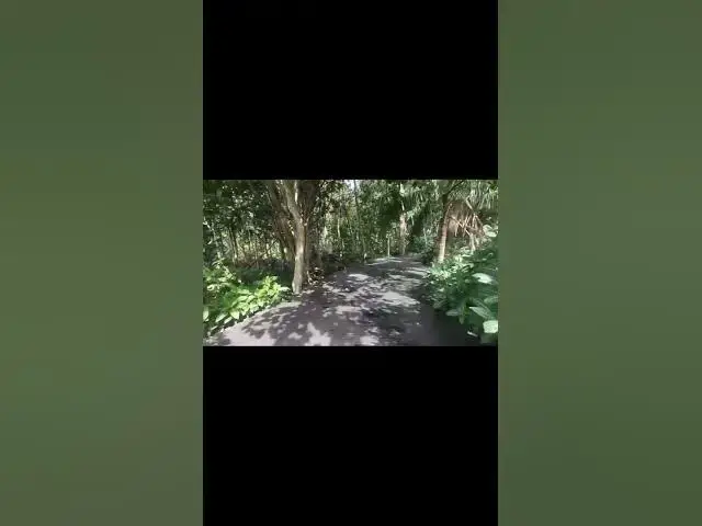Video thumbnail for 🛕 Rice Fields & Hindu Shrine — Entrance to Ubud Monkey Forest, Bali