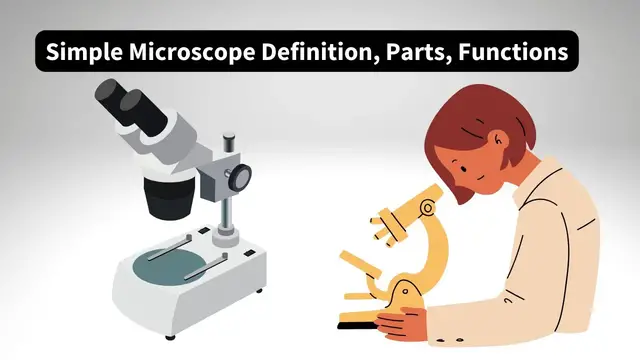 'Video thumbnail for Simple Microscope Definition, Parts, Functions'