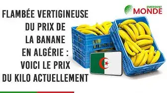 Video thumbnail for 💸 Flambée vertigineuse du prix de la banane en Algérie 🍌​ – Voici le prix du kilo actuellement