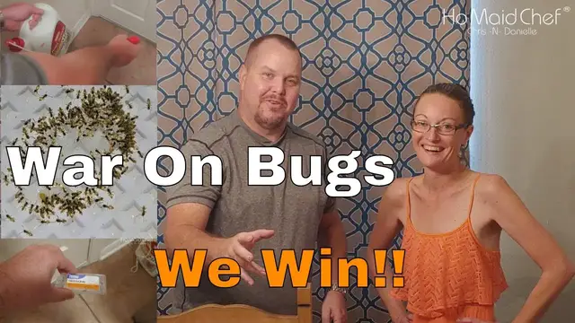 Video thumbnail for How To, No More Bugs And Ants In Our Florida Home