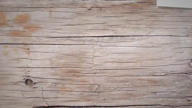 Video thumbnail for Is Vermiculite Safe for Organic Gardening? Here’s What You Need To Know!