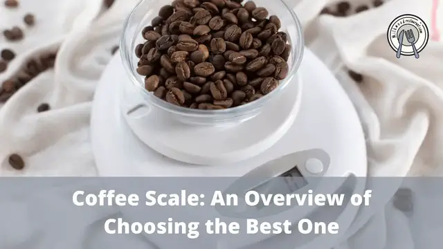 Video thumbnail for Coffee Scale: An Overview of Choosing the Best One