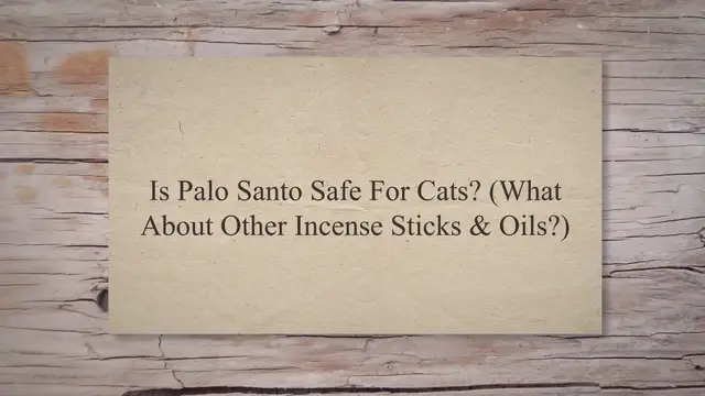 'Video thumbnail for Is Palo Santo Safe For Cats? [What About Other Incense Sticks & Oils?]'