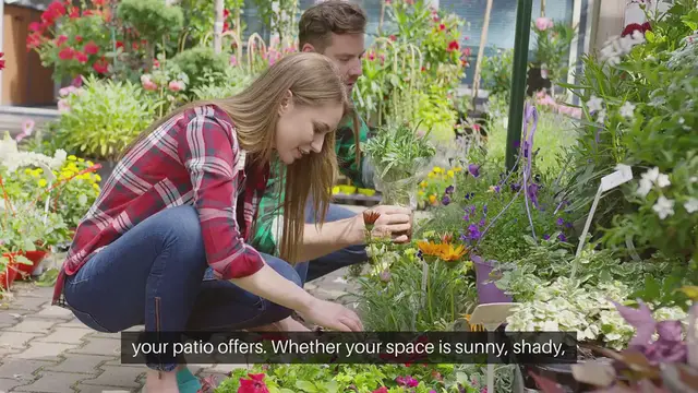 Video thumbnail for Patio Garden Plants