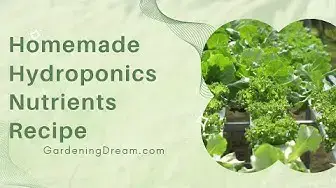 Video thumbnail for Homemade Hydroponics Nutrients Recipe