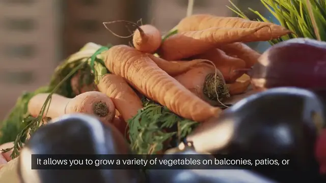 Video thumbnail for Container Vegetable Gardening Ideas