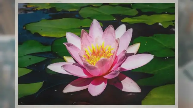 Video thumbnail for How Is Hydroponics Different From Soil Growing?