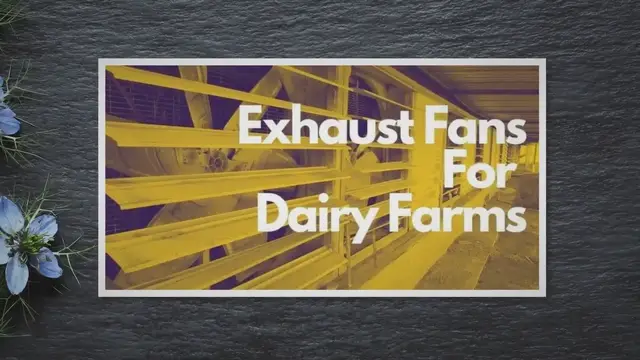 'Video thumbnail for Top Exhaust Fans For Dairy Farms'